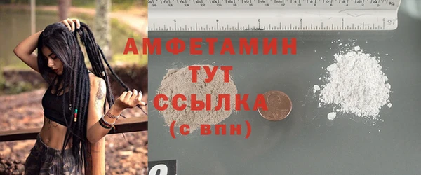 apvp Рославль