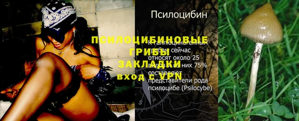 mdpv Железноводск