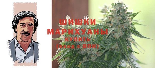 apvp Рославль