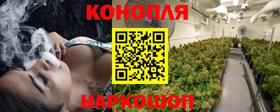 твердый Заводоуковск
