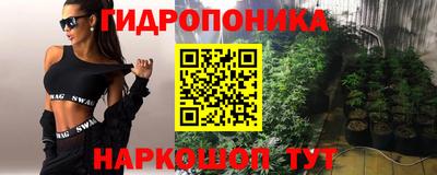 эйфоретик Заволжье
