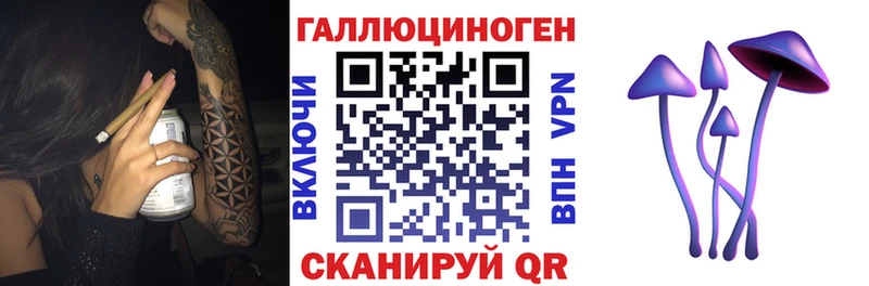 Псилоцибиновые грибы Psilocybine cubensis  наркошоп  кракен онион  Реутов 