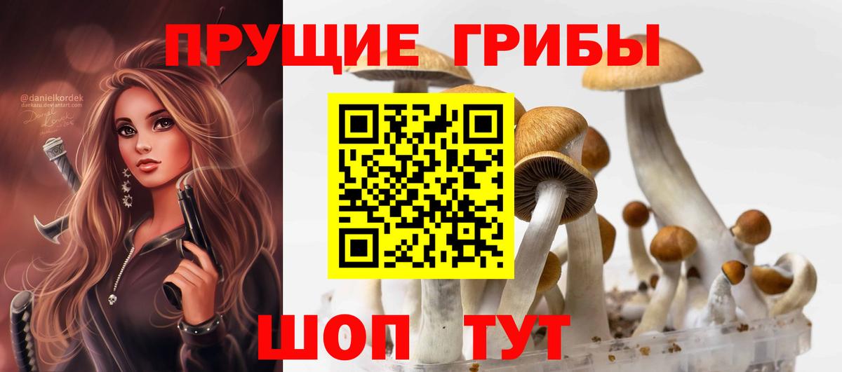 Псилоцибиновые грибы мухоморы  Вход с VPN  Реутов 