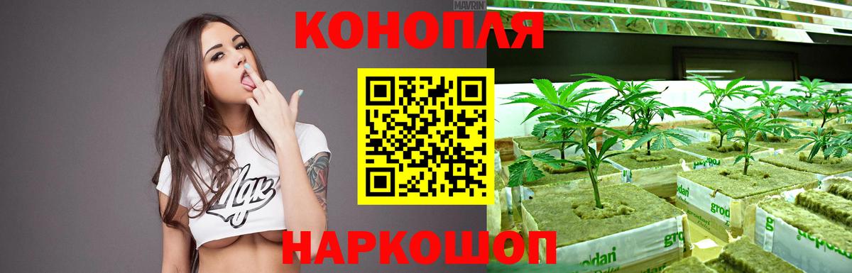 Шишки марихуана ГИДРОПОН  Бошки марихуана VHQ  Реутов  Бошки Шишки MAZAR  Вход с VPN 